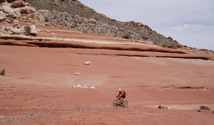 Copy of P4140076.jpg